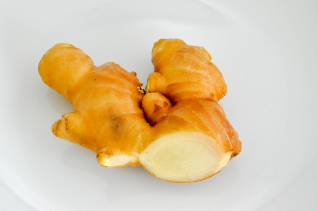 犬にとってもしょうがは健康食材！与えるときの注意点と一日の目安量