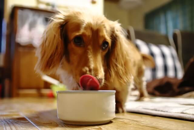 65f95591289558660ebec4a76d7add16_s