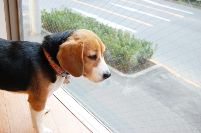 67b5822a967e1b463f3463bb4a7ca19b