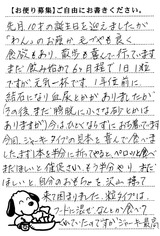 トッティ 画像1