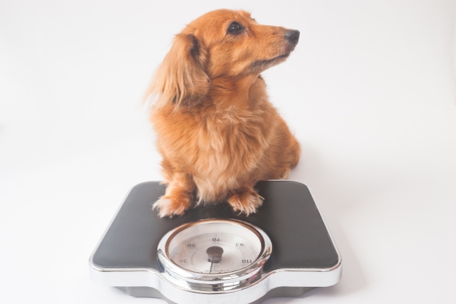 76c571aeb073ab894cfb9eccd5f1507e_s