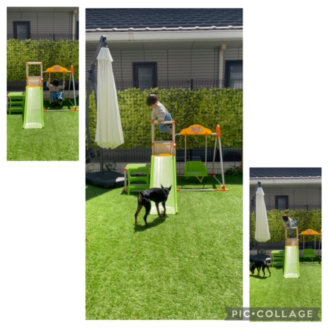 772BCBD5-8F85-49CF-ADC8-35F0155C3B48