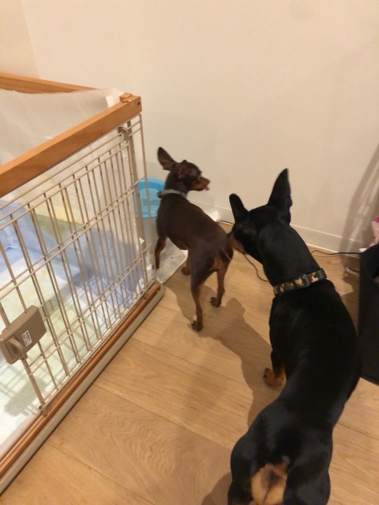 7a1b4d29-6241-4042-8dff-8e4350d7ebff