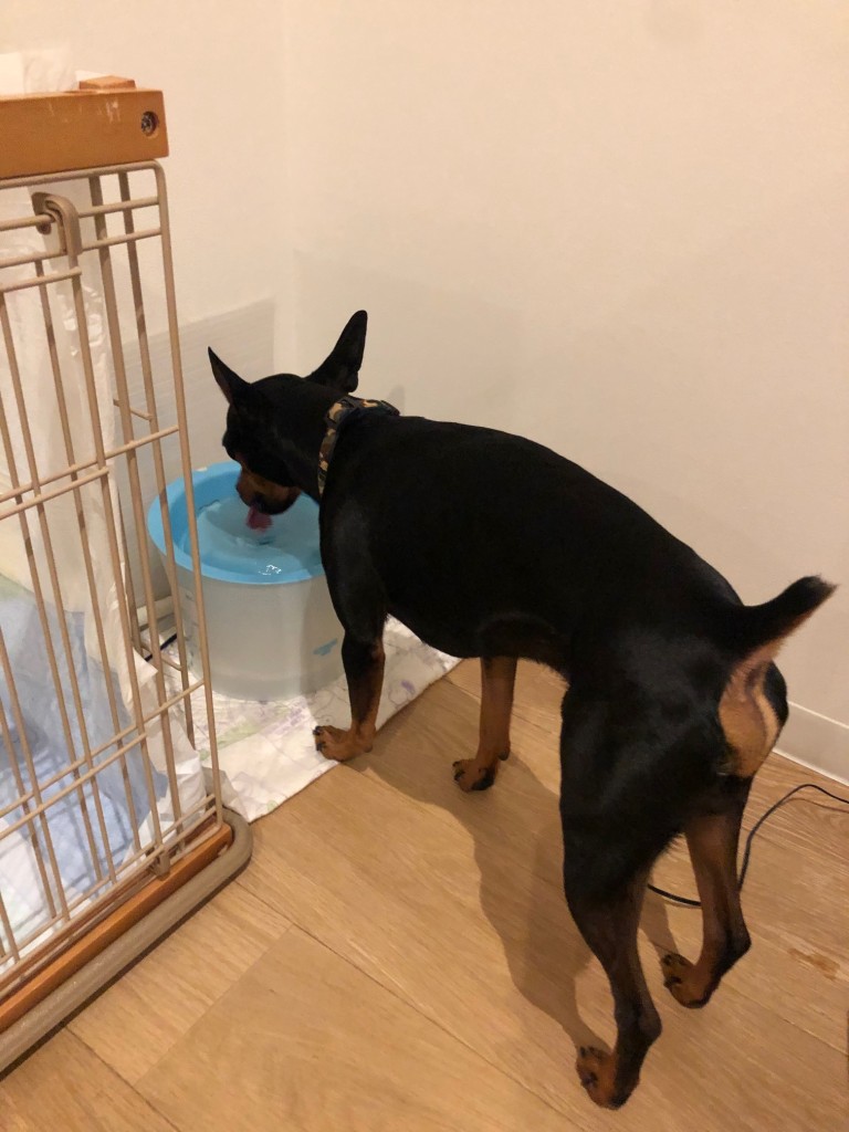 7cbd9ea9-5ab6-4842-aedf-9c93c0c57064