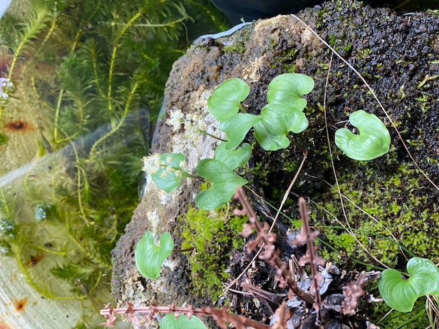 809E467C-C9C9-4738-A79C-32D10F7C64D8