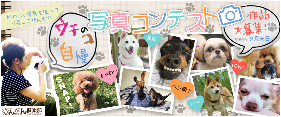 うちの子自慢写真コンテスト