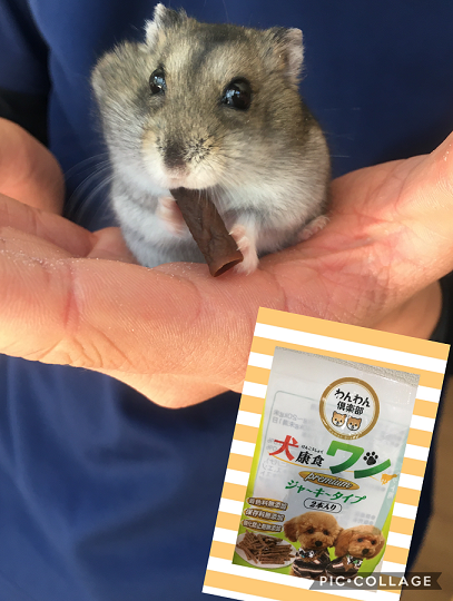 83AEA87A-273F-418D-BC08-704E2C24EE07