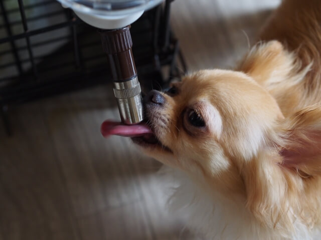 87680147343770450d19881c8c25f5ec_s