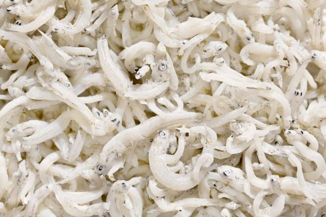 99c5f1e62cf1f605e5305e20b8524415_m-640x426