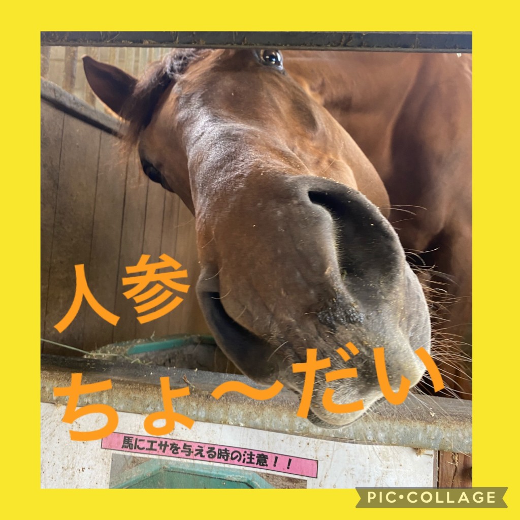 9CEA7DB2-18C1-4E9D-90B2-4413AAFD89F4