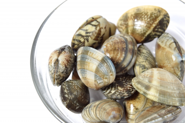 9b9ba4f66037cedfab85da3d61f669e0_s