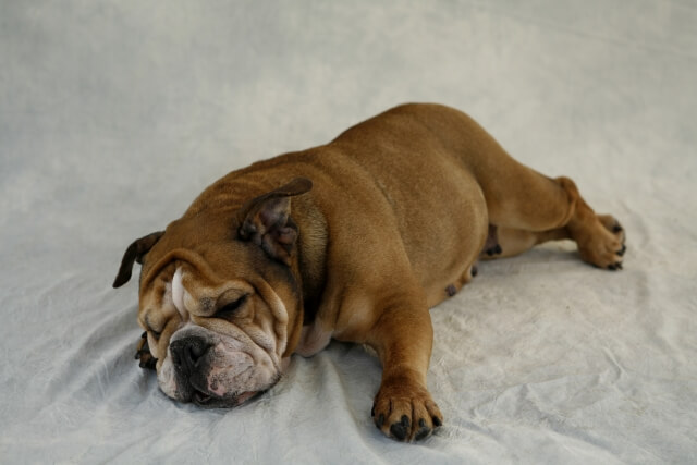 9db0b3ca6fb131e3dd221536d98698aa_s