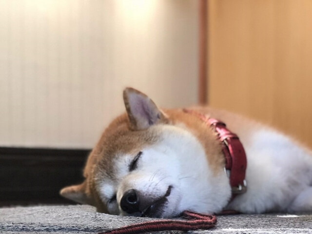 9eea2669cbad999e82d8c83bf0e53bc8_s