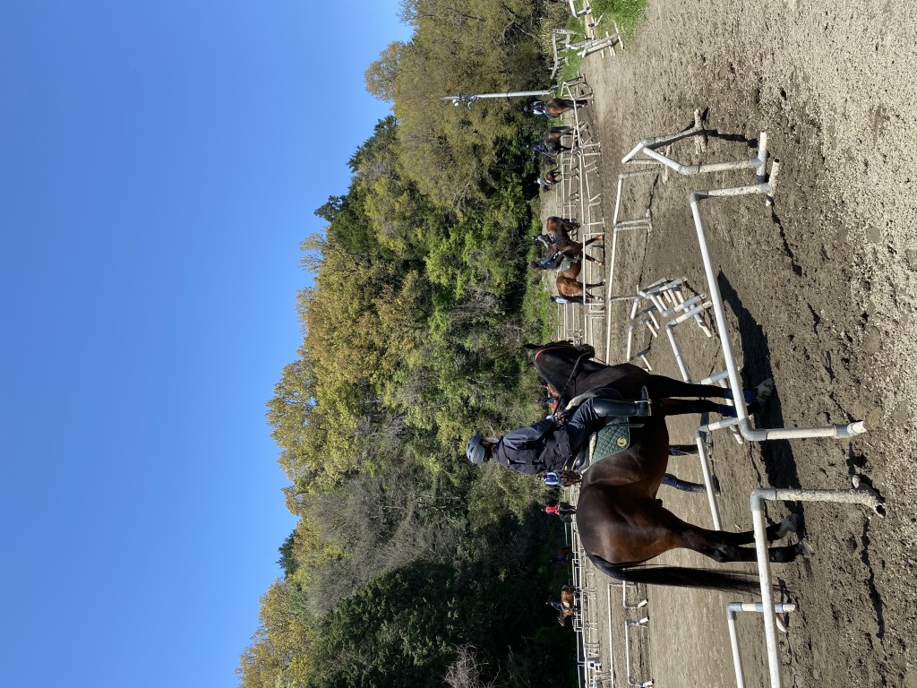 ACD7EA03-7109-4DBB-B9DB-31B71C46D168