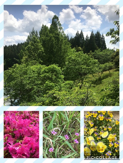 AE1D64CD-B499-402C-A601-94C79B78E695