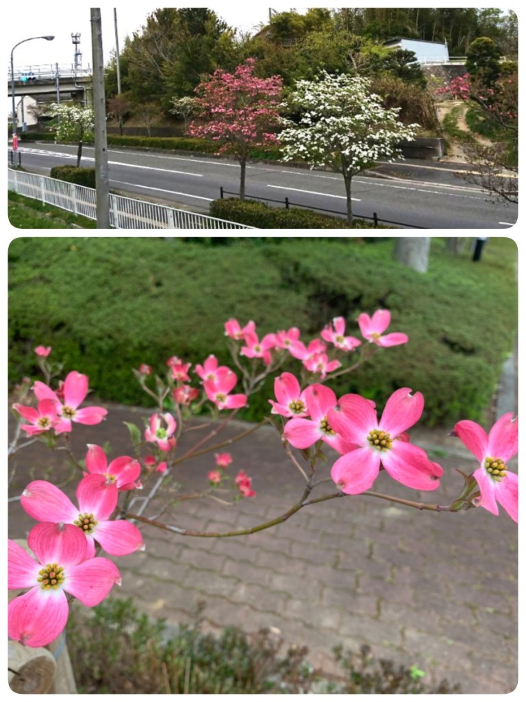 AFCC1333-F2A4-4B80-AFD6-0B6F77B86787