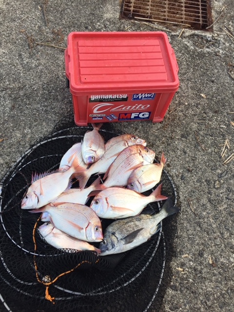 BD78409D-0E7E-4FCD-990A-66181CE71650