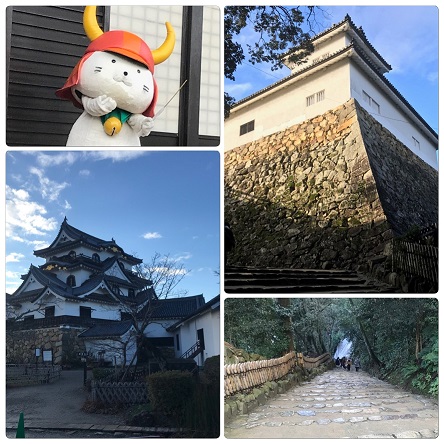 CF167798-E468-4F3C-910C-0F6F802BDAFC