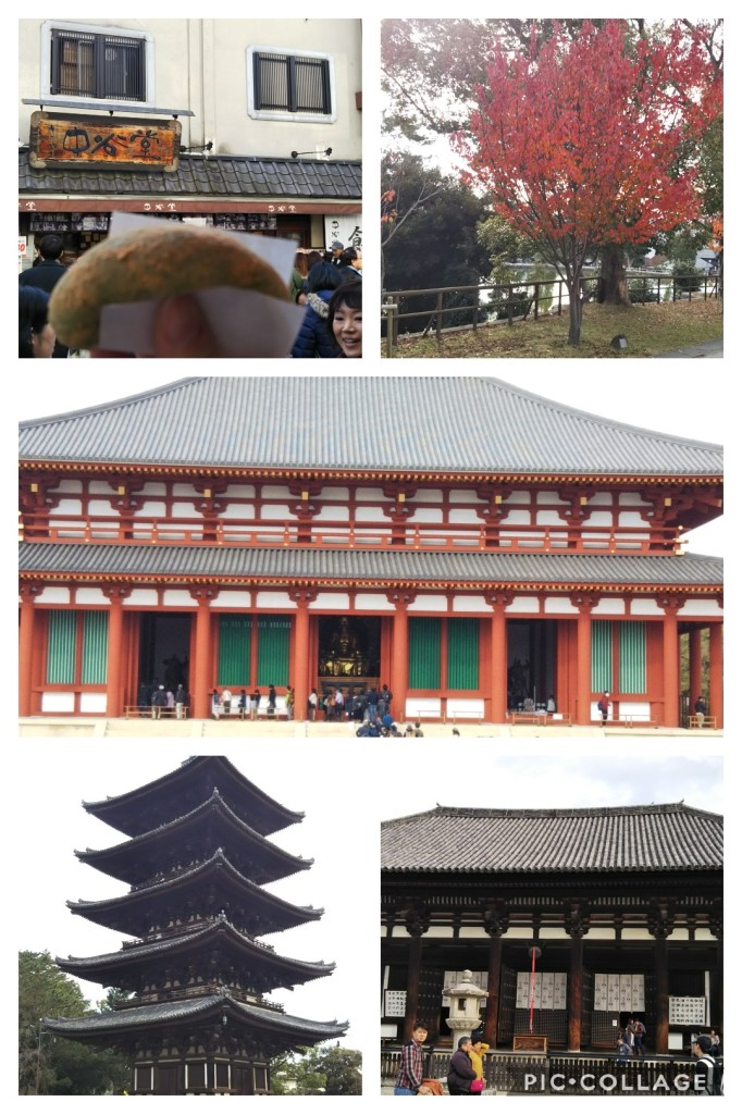 Collage 2018-11-30 09_38_48