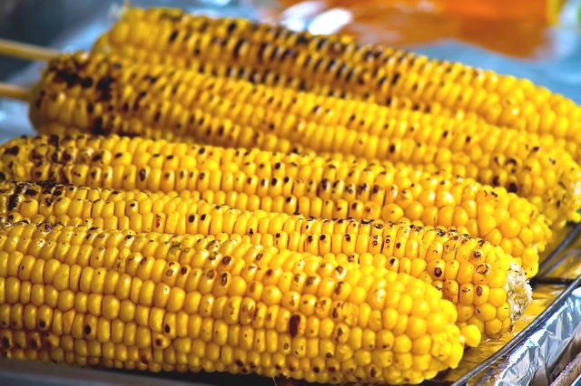 PPW_yakimorokoshi_TP_V