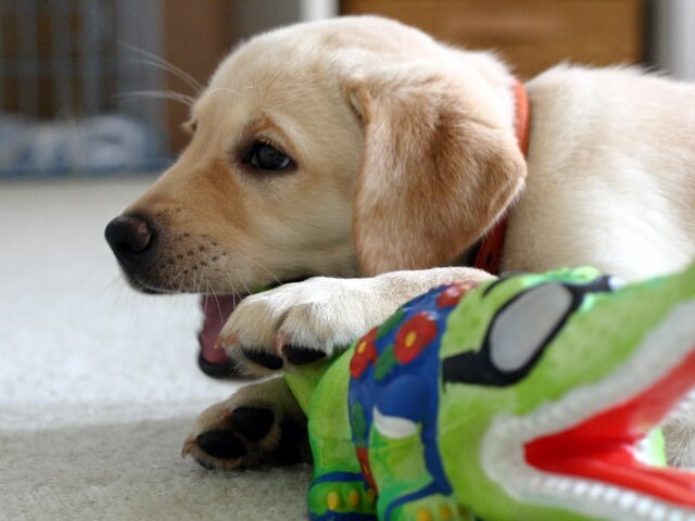 a253b9519f437438b54e5c89091729c8_s