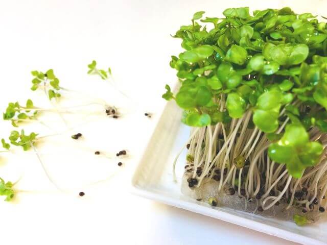 ae251ceb63842b43ea63fc4e33561df8_s