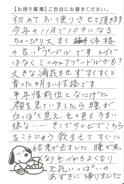 サムネイル画像