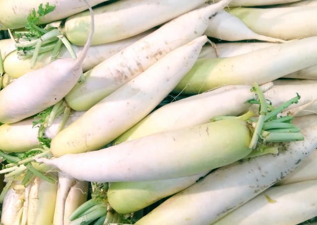 大根は葉っぱも犬が食べて大丈夫!栄養のメリットと注意点