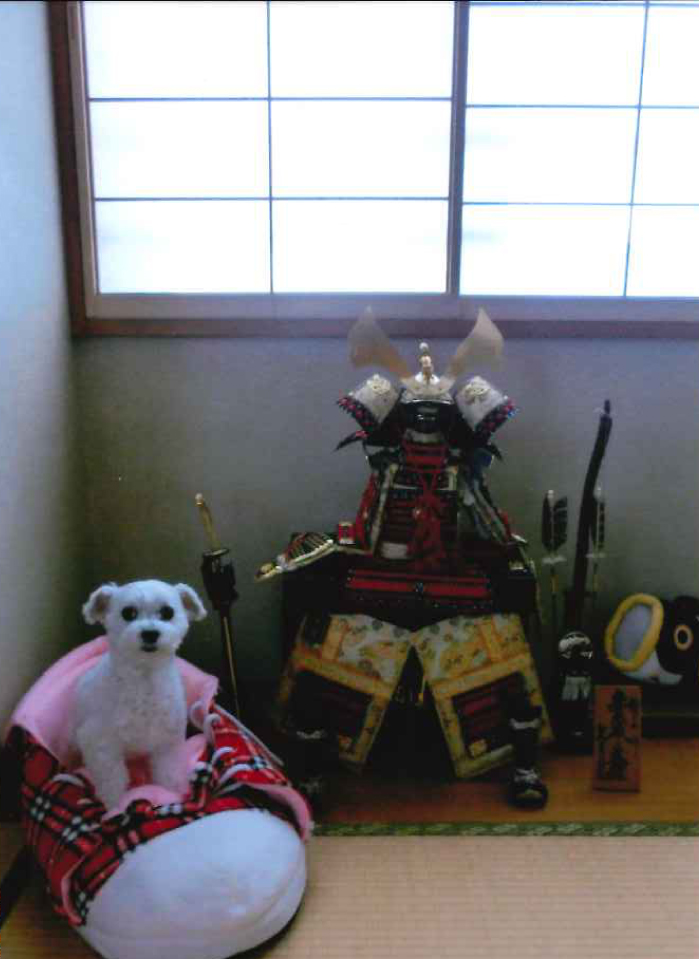 お便り　馬場ちむりくん