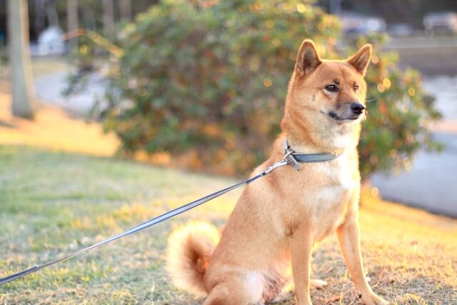 bc761aa6fb5aeb85e119daf2aecbf23e_s (1)