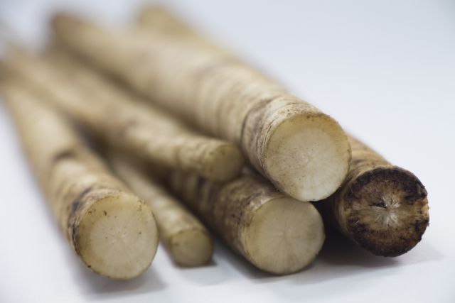 bf9f54fa1cb2cb2c8c18844dc50c2471_s