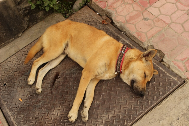 c5bf59ca06572e645ad96959760a41fe_s