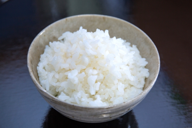 愛犬に白米ご飯はメリット大！食べてよい量と玄米は消化・下痢に注意すべき理由