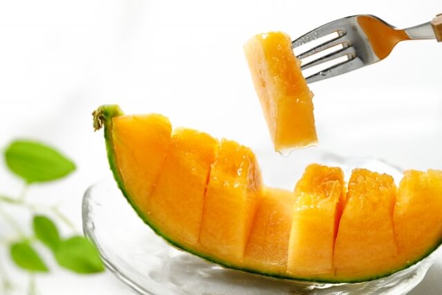 犬にメロンをあげても平気？一日の目安量・正しい与え方と皮や種には要注意な理由