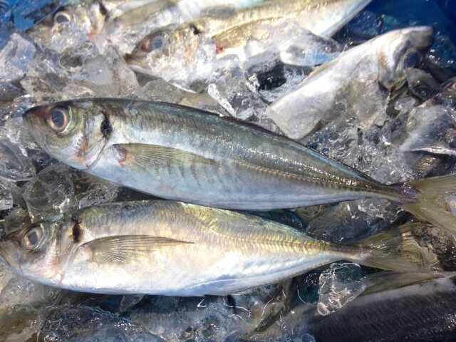 da95cd49ba41ebd279e7ec9c40e58d10_s