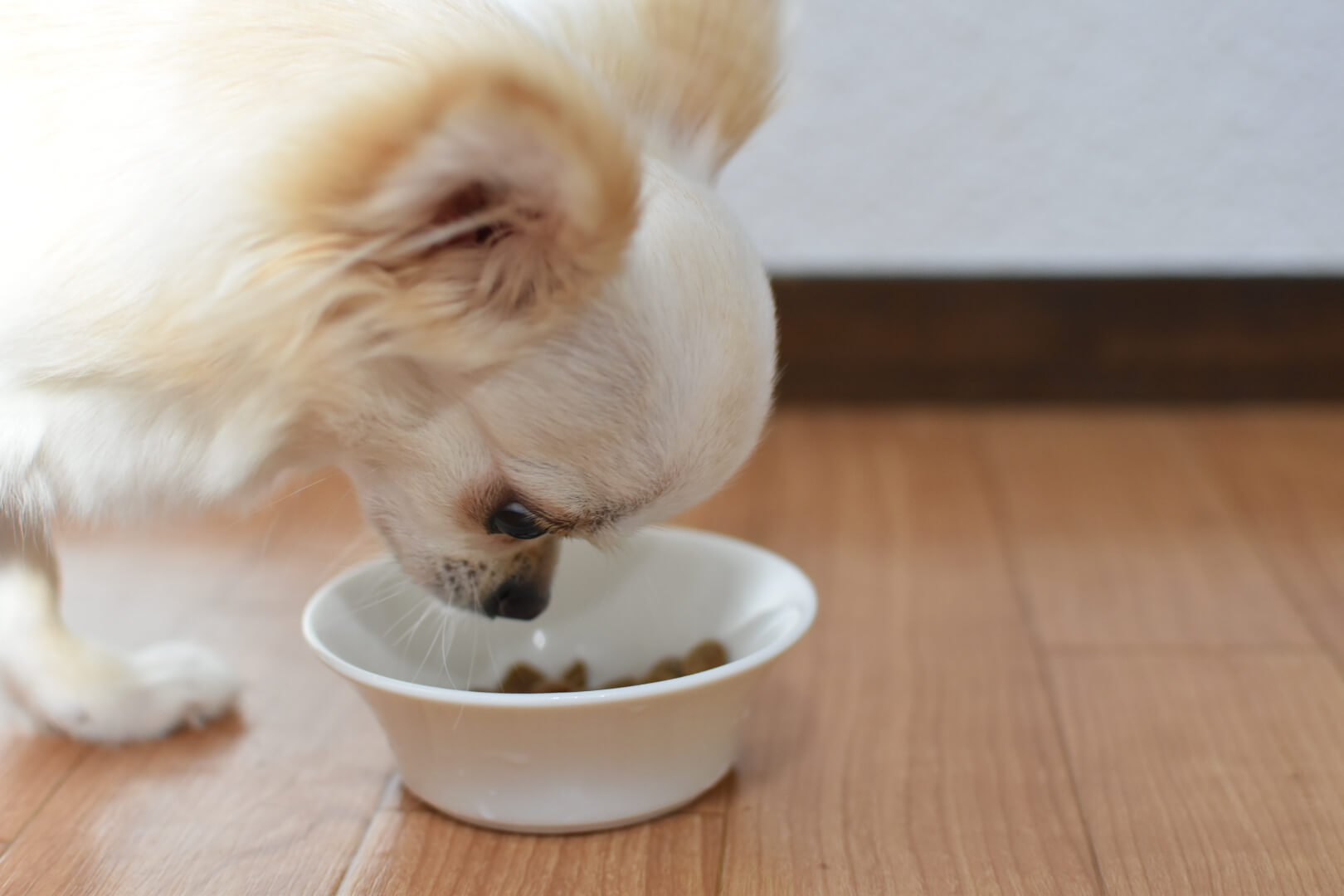 h3：魚に含まれる主な栄養素