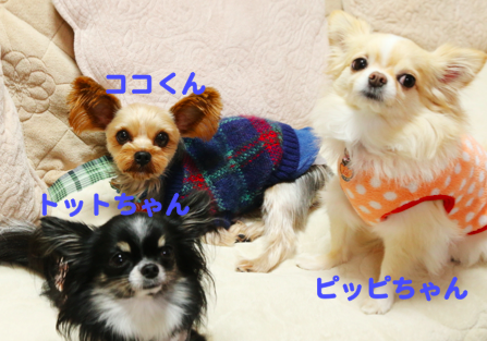 スクリーンショット 2017-02-08 14.08.04