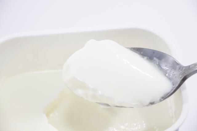 ヨーグルトの乳酸菌は犬にもメリットあり!与え方の注意点