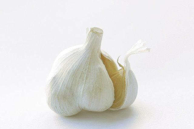 にんにくを愛犬にあげたらダメな理由と中毒症状の対処法