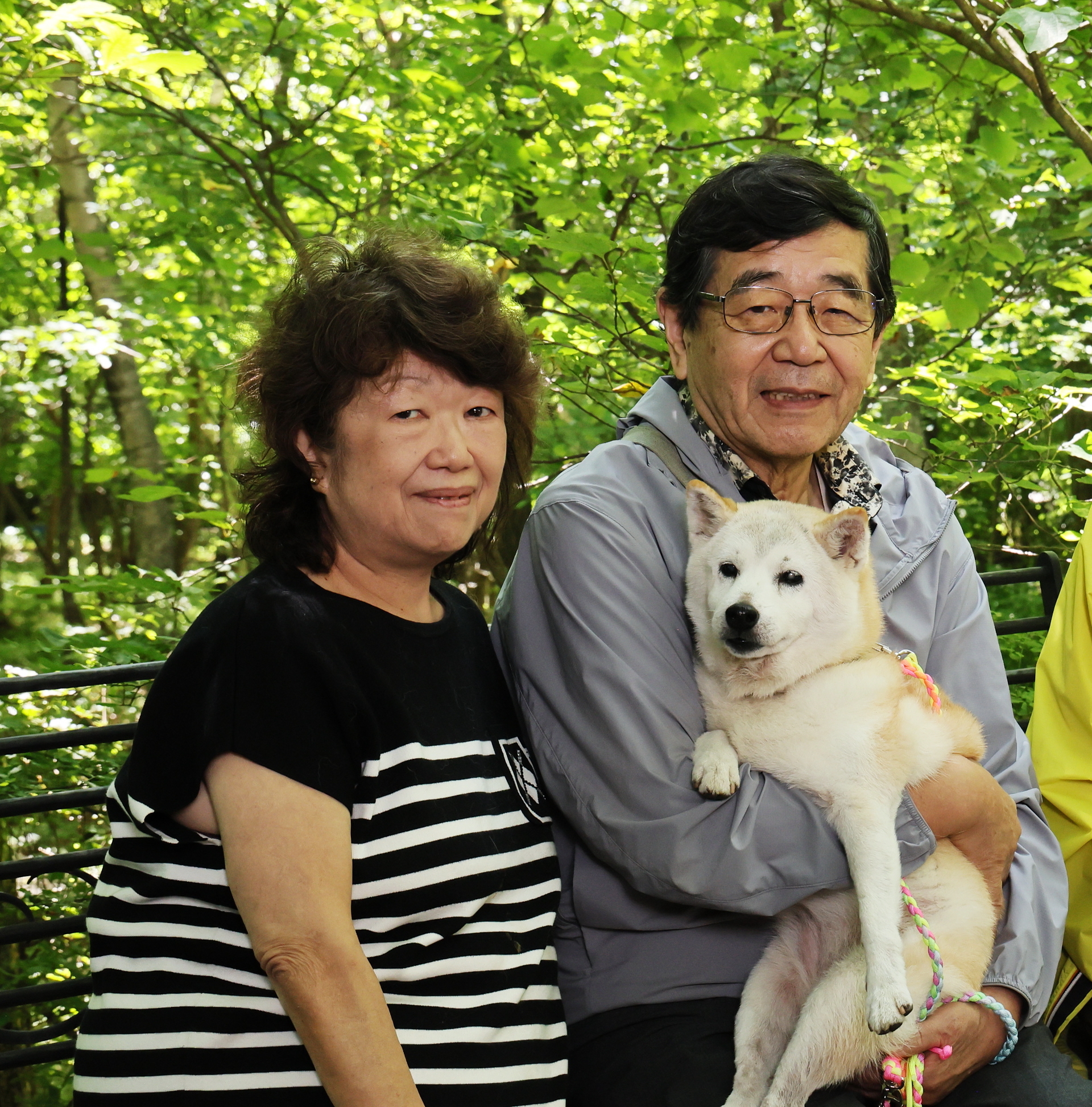 サムネイル画像