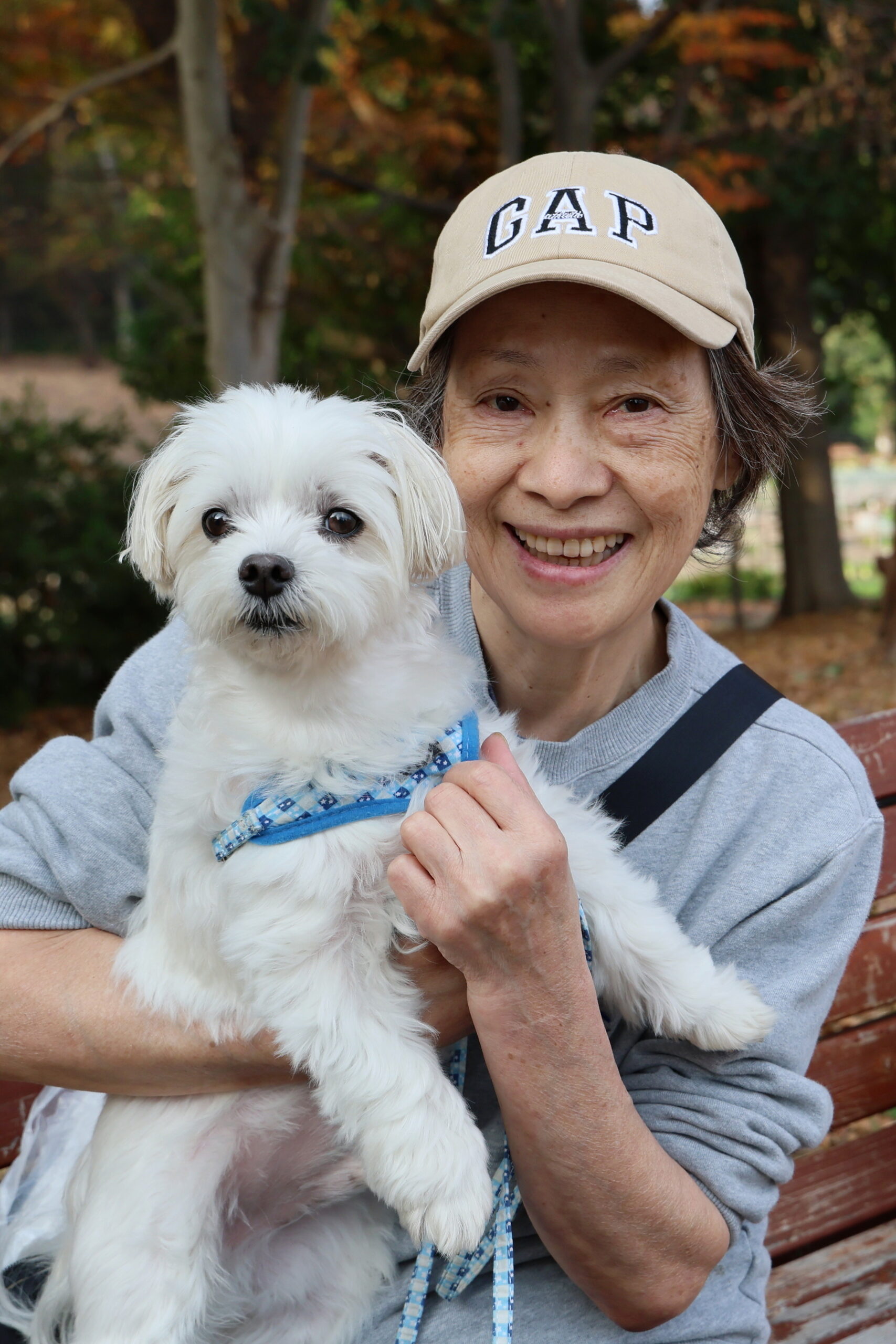 サムネイル画像