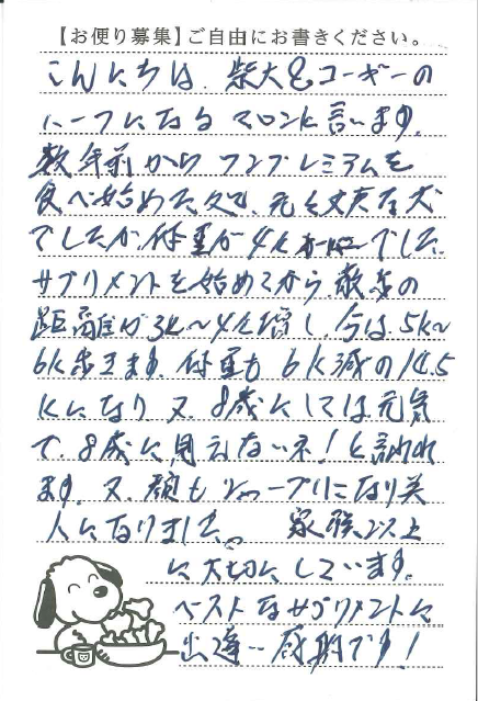 サムネイル画像