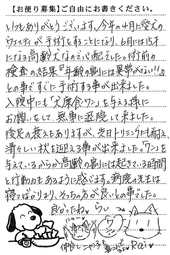 ライ 画像2