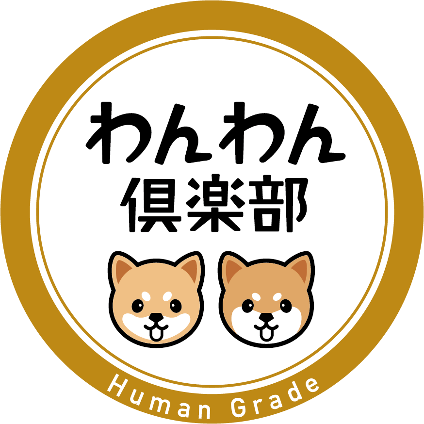 アンちゃんのお散歩