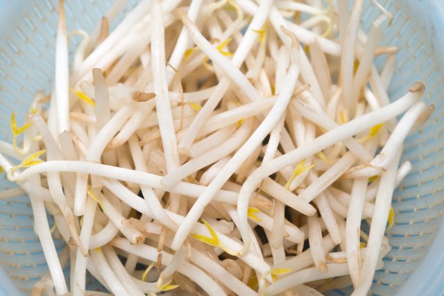 与えるときは細かく刻んで！愛犬にもやしを与える正しい方法