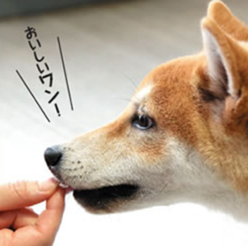 「プレミアム」初回購入キャンペーン