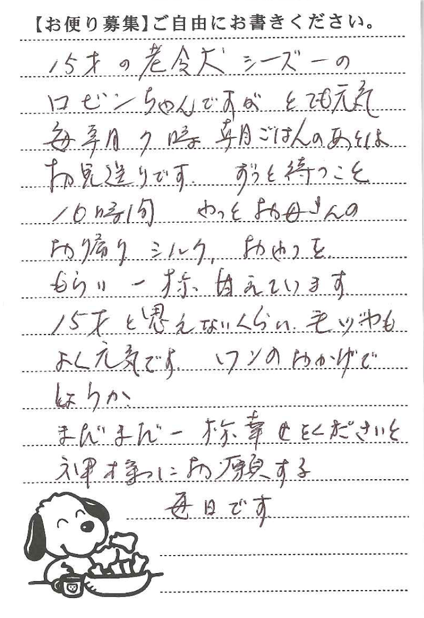 ロビンちゃん 画像1