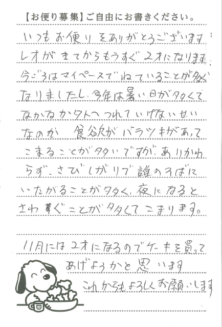 サムネイル画像