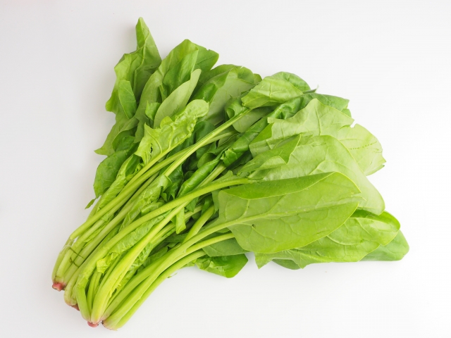 生のほうれん草は要注意！犬が食べられる量とレシピのコツ