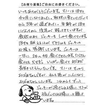 スノーちゃん 画像1